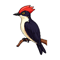 nature woodpecker tree bird pecking 100 v10 2026 03 25T19 14 54