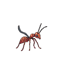 nature ant worker colony insect 067 v7 2026 03 25T19 14 54