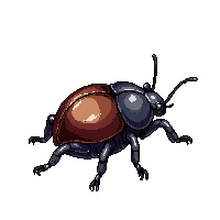 nature beetle shiny hard shell 005 2026 03 25T19 14 54