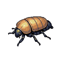nature beetle shiny hard shell 045 v5 2026 03 25T19 14 54