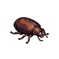 nature beetle shiny hard shell 055 v6 2026 03 25T19 14 54
