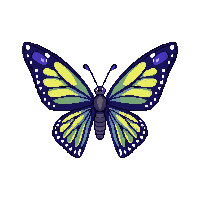 nature butterfly wings colorful insect 021 v3 2026 03 25T19 14 54