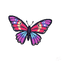 nature butterfly wings colorful insect 041 v5 2026 03 25T19 14 54