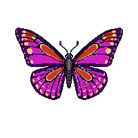 nature butterfly wings colorful insect 051 v6 2026 03 25T19 14 54