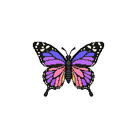 nature butterfly wings colorful insect 061 v7 2026 03 25T19 14 54