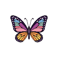 nature butterfly wings colorful insect 081 v9 2026 03 25T19 14 54