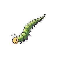 nature caterpillar fuzzy larvae insect 009 2026 03 25T19 14 54