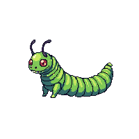 nature caterpillar fuzzy larvae insect 079 v8 2026 03 25T19 14 54