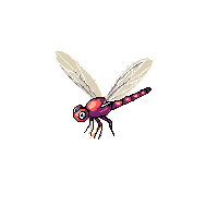 nature dragonfly flying insect pond 013 v2 2026 03 25T19 14 54