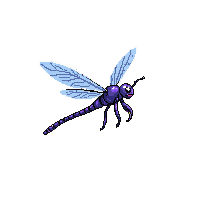 nature dragonfly flying insect pond 023 v3 2026 03 25T19 14 54