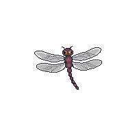 nature dragonfly flying insect pond 043 v5 2026 03 25T19 14 54