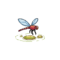 nature dragonfly flying insect pond 093 v10 2026 03 25T19 14 54