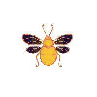 nature firefly glowing light bug 058 v6 2026 03 25T19 14 54