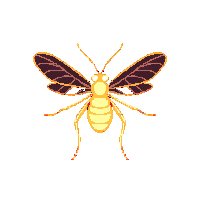 nature firefly glowing light bug 098 v10 2026 03 25T19 14 54