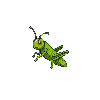 nature grasshopper jumping insect green 046 v5 2026 03 25T19 14 54