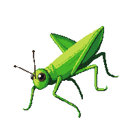 nature grasshopper jumping insect green 056 v6 2026 03 25T19 14 54