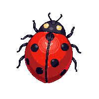 nature ladybug spotted lucky insect 004 2026 03 25T19 14 54