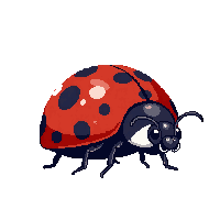 nature ladybug spotted lucky insect 024 v3 2026 03 25T19 14 54