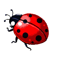 nature ladybug spotted lucky insect 034 v4 2026 03 25T19 14 54