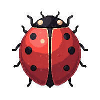 nature ladybug spotted lucky insect 044 v5 2026 03 25T19 14 54