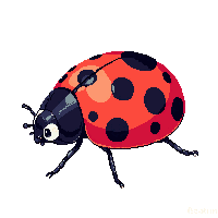 nature ladybug spotted lucky insect 054 v6 2026 03 25T19 14 54