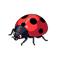 nature ladybug spotted lucky insect 084 v9 2026 03 25T19 14 54