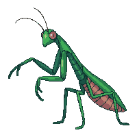 nature praying mantis hunting insect 030 v3 2026 03 25T19 14 54