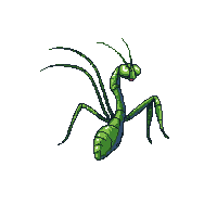 nature praying mantis hunting insect 040 v4 2026 03 25T19 14 54