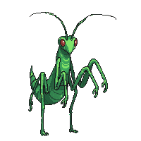 nature praying mantis hunting insect 070 v7 2026 03 25T19 14 54