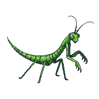 nature praying mantis hunting insect 080 v8 2026 03 25T19 14 54