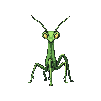 nature praying mantis hunting insect 100 v10 2026 03 25T19 14 54