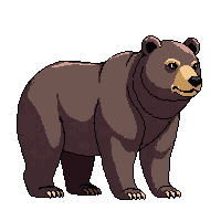 nature bear grizzly forest predator 093 v10 2026 03 25T19 14 54