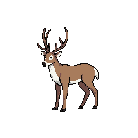 nature deer stag antlered animal 005 2026 03 25T19 14 54