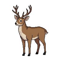nature deer stag antlered animal 045 v5 2026 03 25T19 14 54