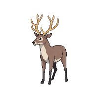 nature deer stag antlered animal 055 v6 2026 03 25T19 14 54