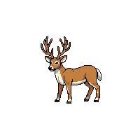 nature deer stag antlered animal 065 v7 2026 03 25T19 14 54