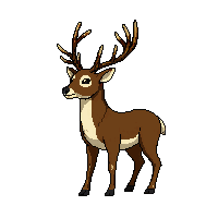 nature deer stag antlered animal 075 v8 2026 03 25T19 14 54