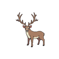 nature deer stag antlered animal 085 v9 2026 03 25T19 14 54