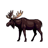 nature moose large antlered mammal 007 2026 03 25T19 14 54