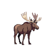 nature moose large antlered mammal 047 v5 2026 03 25T19 14 54