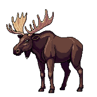nature moose large antlered mammal 057 v6 2026 03 25T19 14 54
