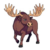 nature moose large antlered mammal 077 v8 2026 03 25T19 14 54