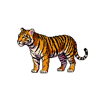 nature tiger striped asian cat 018 v2 2026 03 25T19 14 54