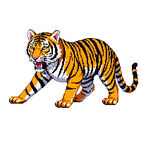 nature tiger striped asian cat 038 v4 2026 03 25T19 14 54