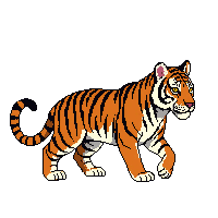nature tiger striped asian cat 078 v8 2026 03 25T19 14 54