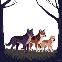 nature wolf pack wild canine 024 v3 2026 03 25T19 14 54
