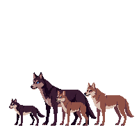 nature wolf pack wild canine 044 v5 2026 03 25T19 14 54