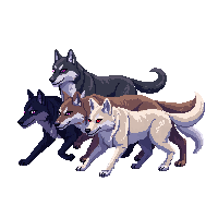 nature wolf pack wild canine 064 v7 2026 03 25T19 14 54