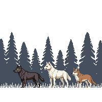 nature wolf pack wild canine 084 v9 2026 03 25T19 14 54