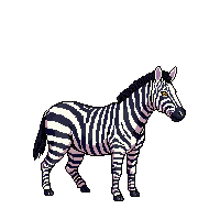 nature zebra striped african horse 030 v3 2026 03 25T19 14 54